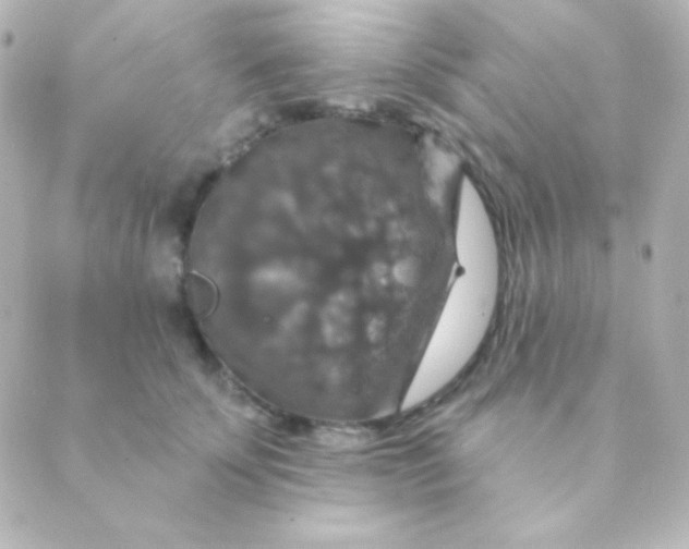 X0000088850707200706221700