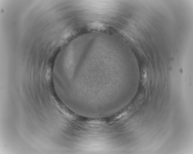 X0000088850708200706221700