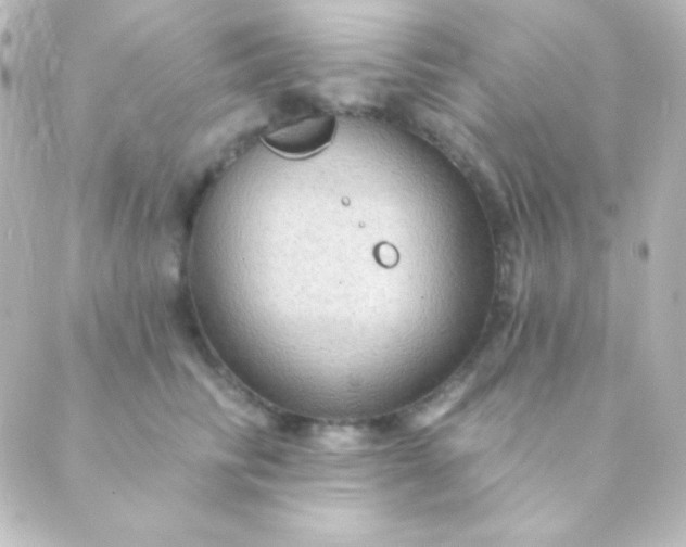 X0000088850710200706221700