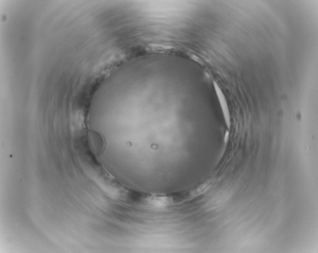 X0000088850711200706221700