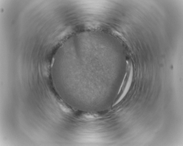 X0000088850712200706221700