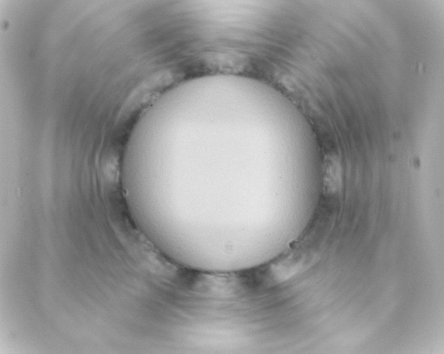 X0000088850713200706221700