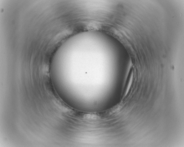 X0000088850714200706221700