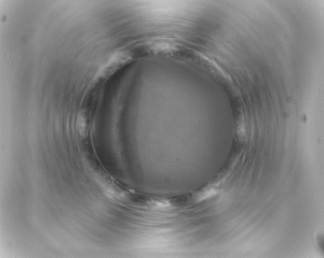 X0000088850715200706221700