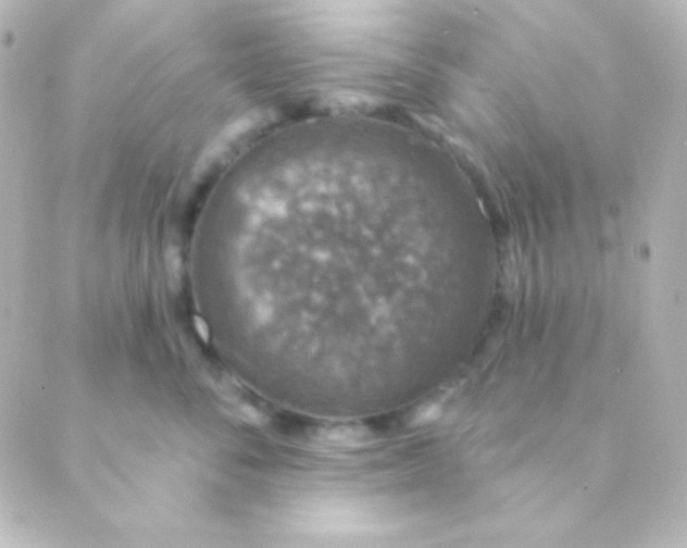 X0000088850716200706221700