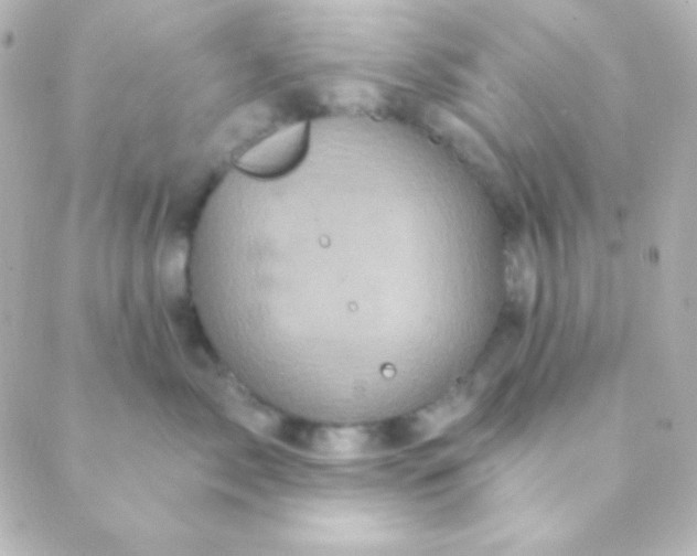 X0000088850717200706221700