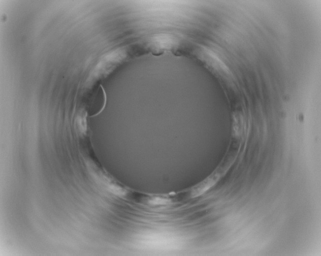 X0000088850718200706221700