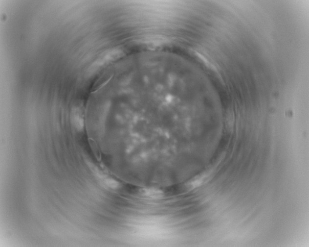 X0000088850719200706221700