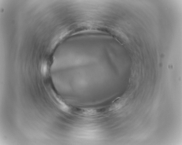 X0000088850720200706221700