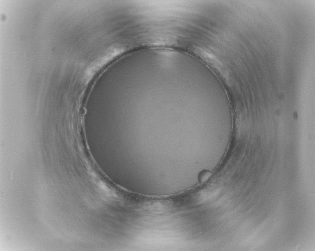 X0000088850721200706221659