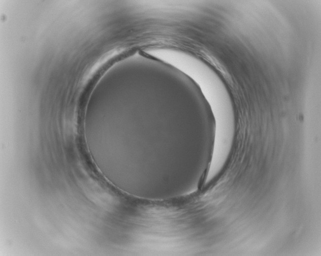 X0000088850722200706221659