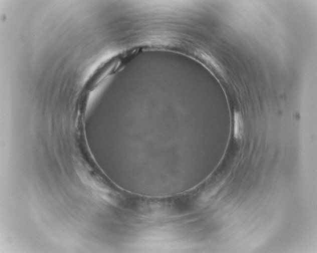 X0000088850723200706221659