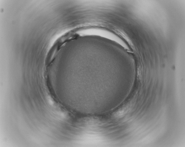 X0000088850724200706221659