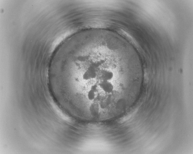 X0000088850725200706221659