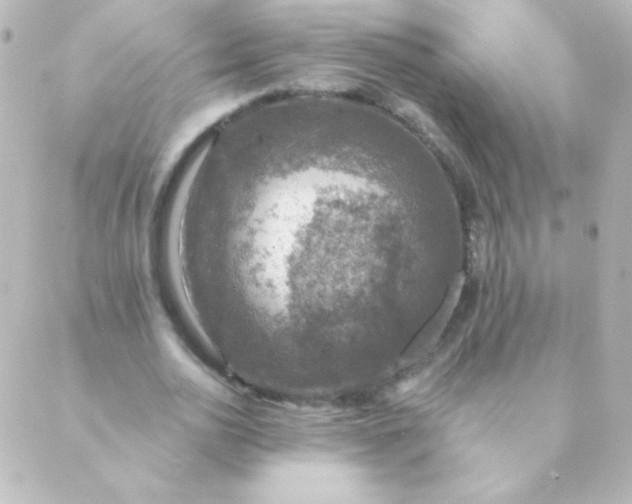 X0000088850726200706221659