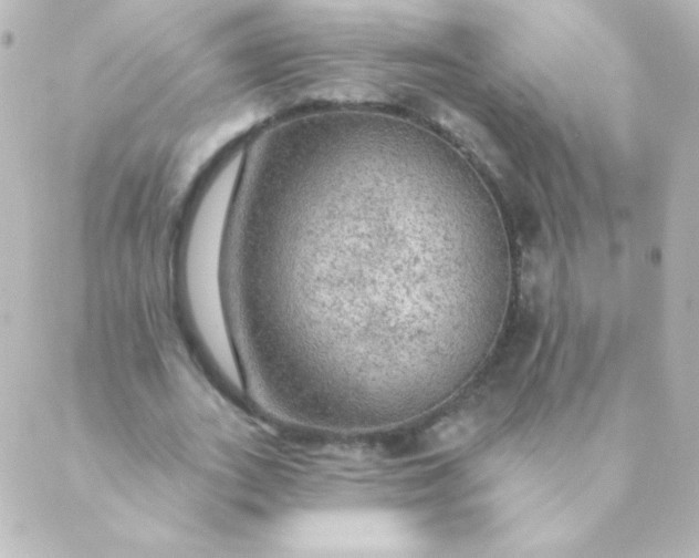 X0000088850727200706221659