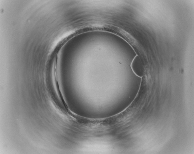 X0000088850728200706221659