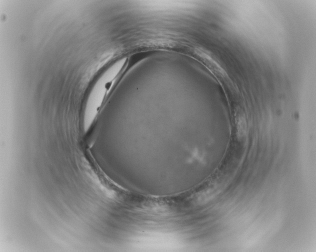 X0000088850729200706221659