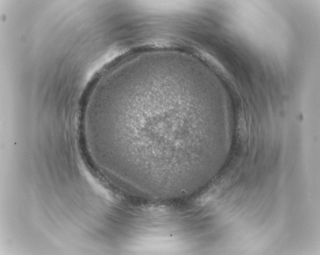 X0000088850730200706221659