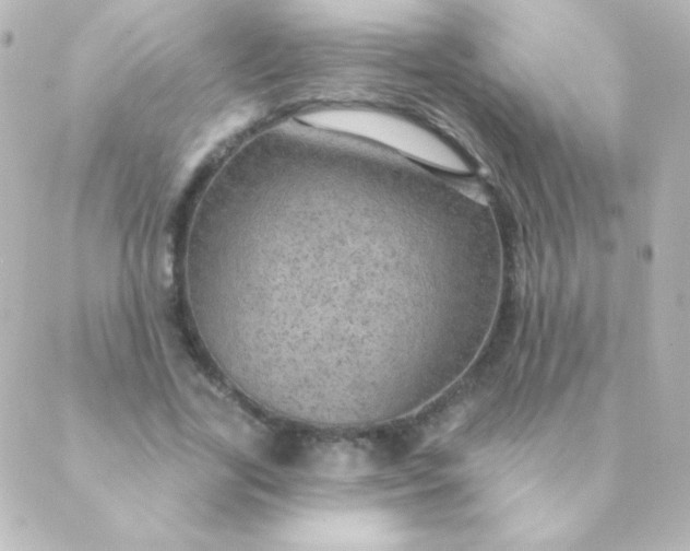 X0000088850731200706221659