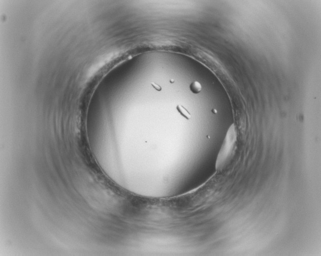 X0000088850732200706221659