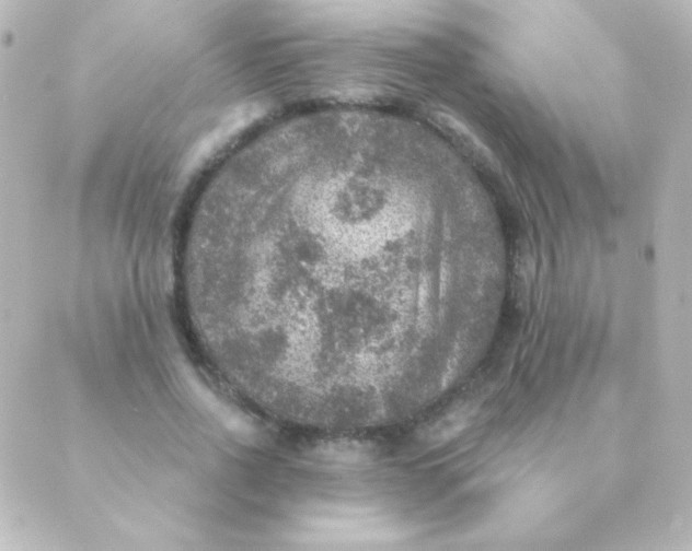 X0000088850734200706221659