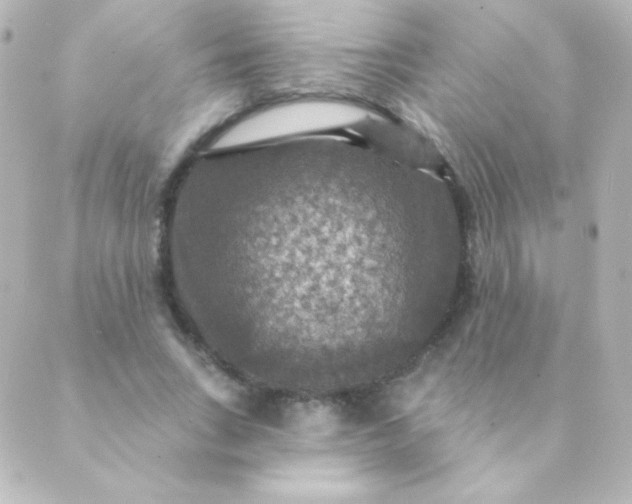 X0000088850735200706221659