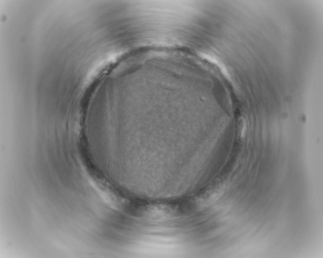 X0000088850736200706221659