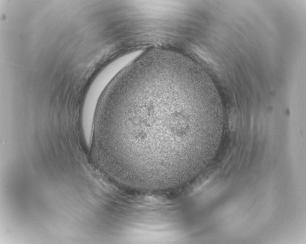 X0000088850737200706221659