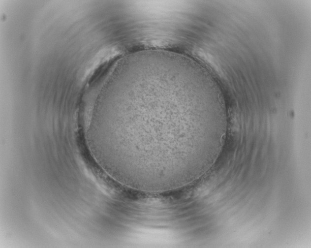 X0000088850738200706221659