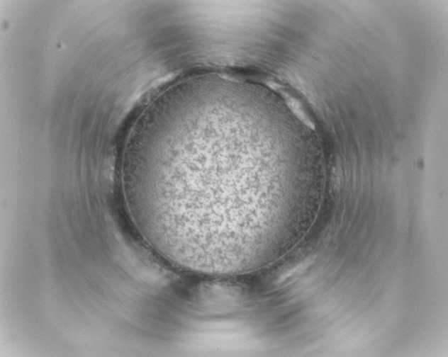 X0000088850739200706221700