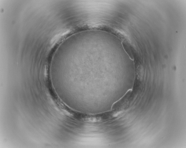 X0000088850740200706221700