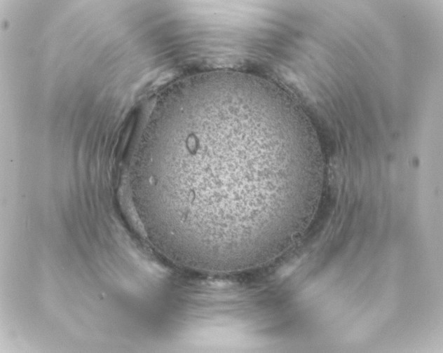 X0000088850741200706221700