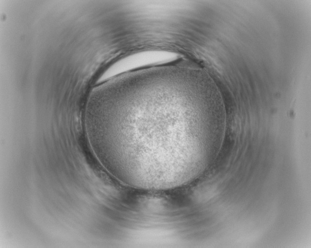 X0000088850743200706221700