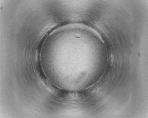 X0000088850744200706221700