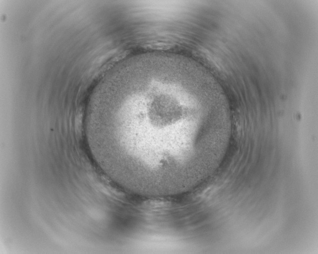 X0000088850745200706221700