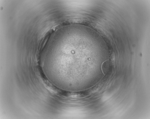 X0000088850746200706221700