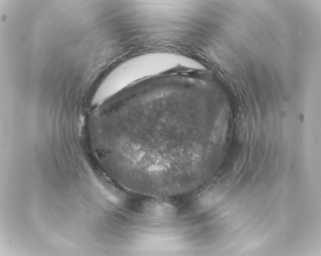 X0000088850747200706221700