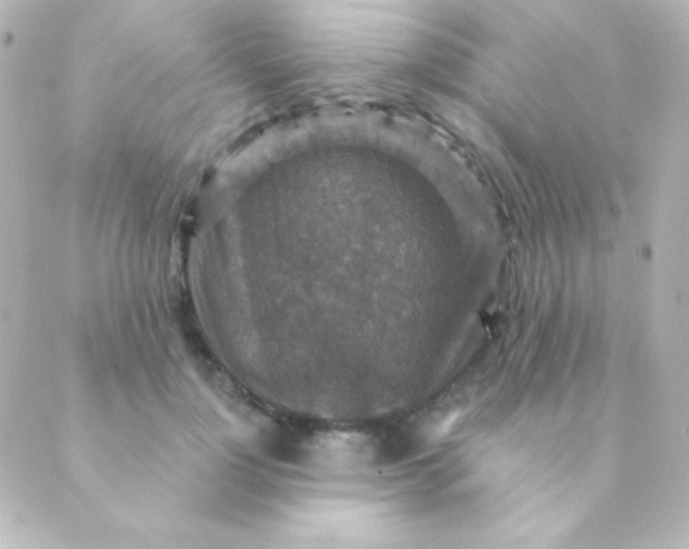 X0000088850748200706221700