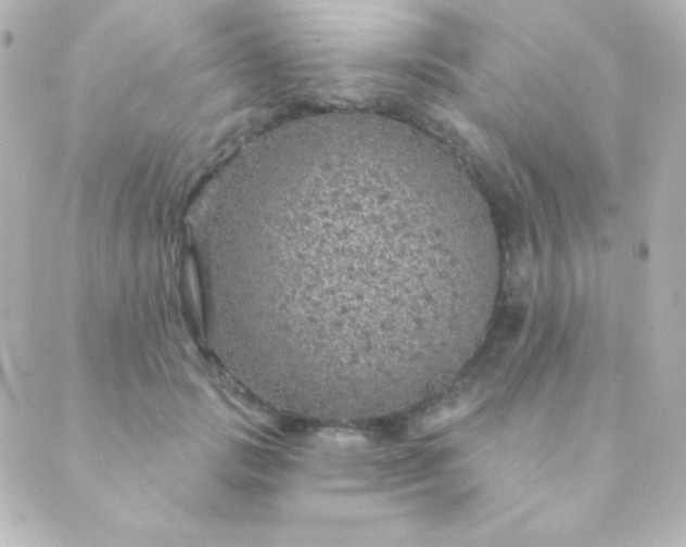 X0000088850749200706221700