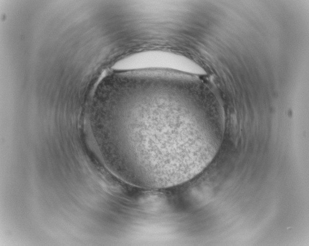 X0000088850750200706221700