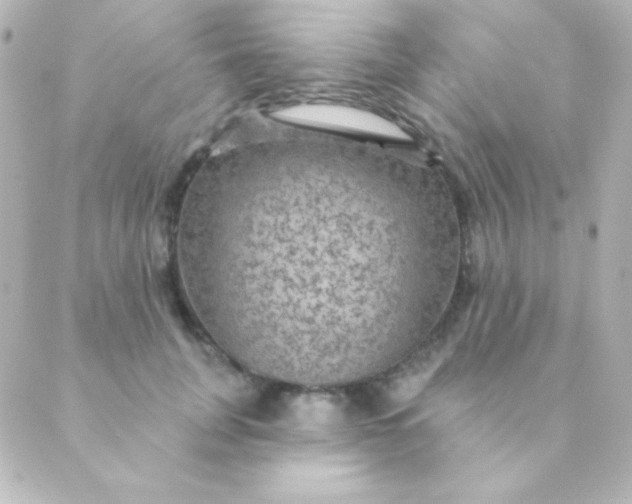 X0000088850751200706221700