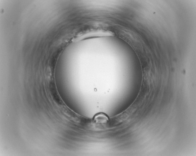 X0000088850752200706221700