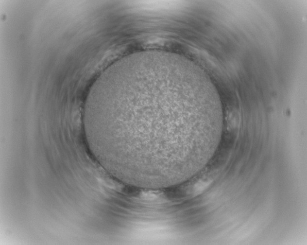 X0000088850753200706221700