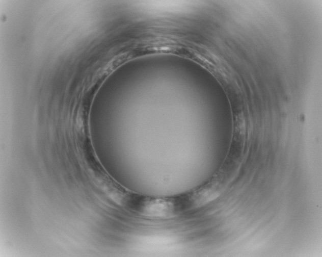 X0000088850754200706221700