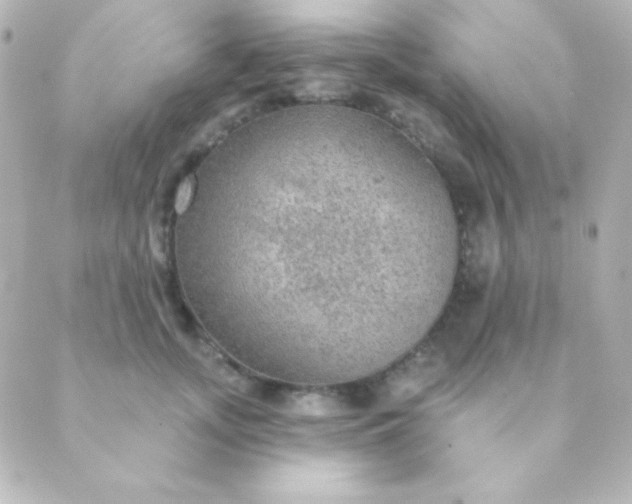 X0000088850755200706221700