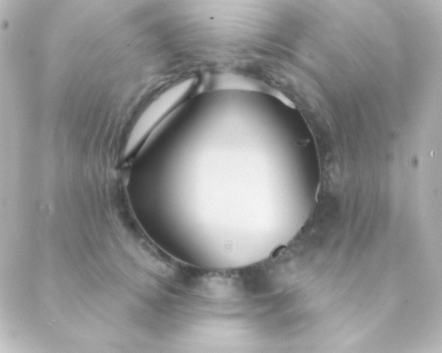 X0000088850756200706221700