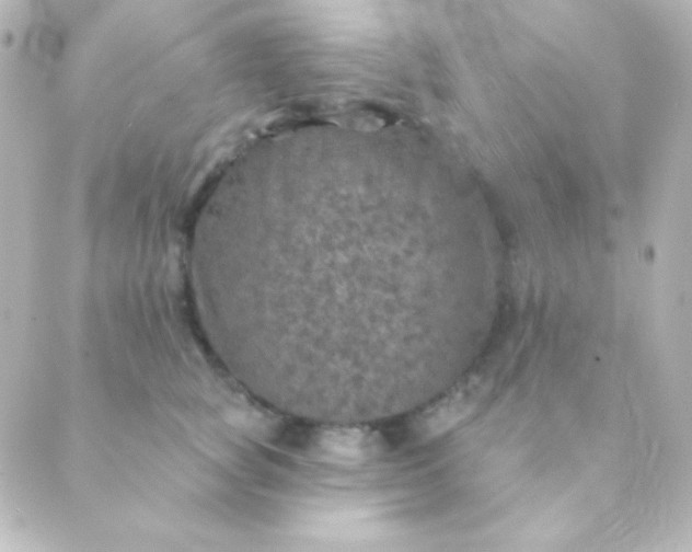 X0000088850757200706221700