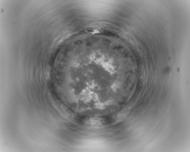 X0000088850758200706221700