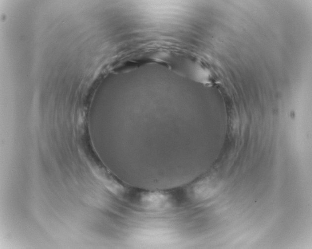 X0000088850759200706221700